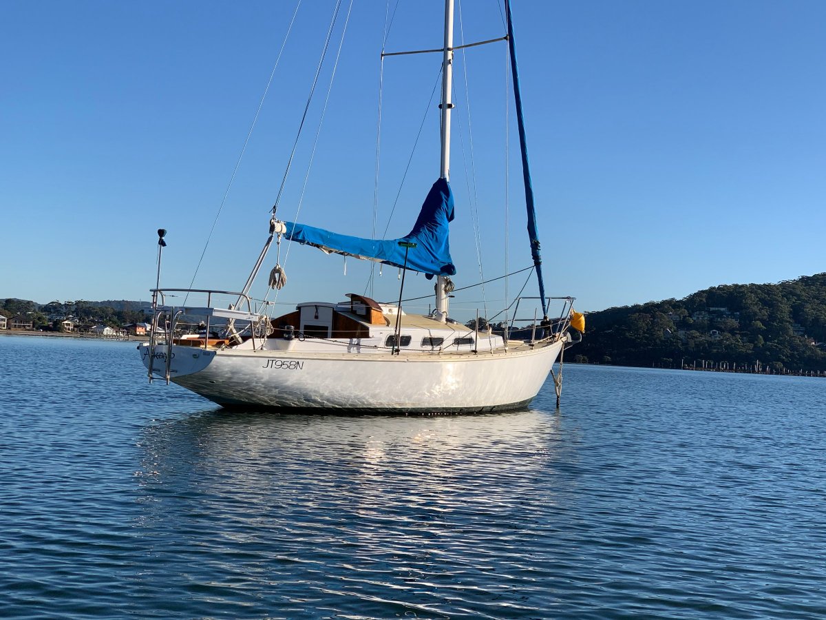 HUGE PRICE CUT - Primrose & Illingworth Tocade 29