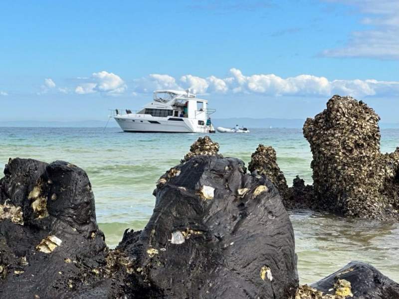 Bayliner 4388 Flybridge