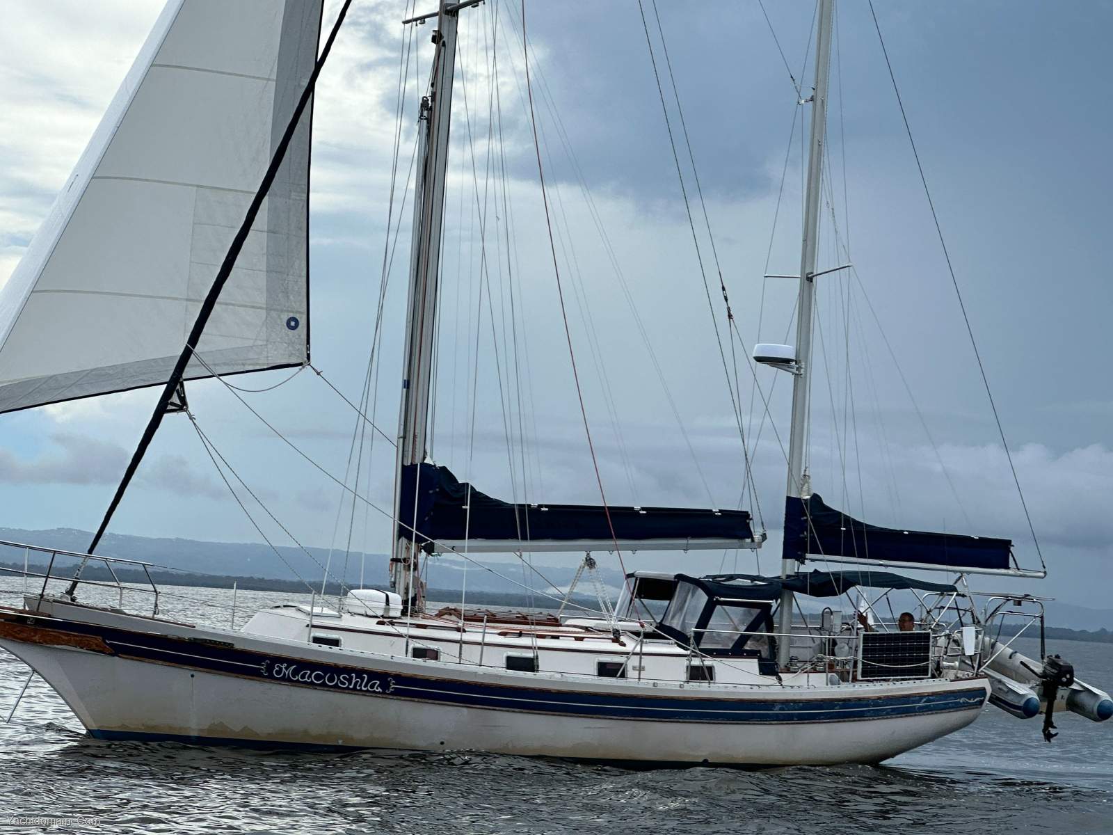 Bayfield 40