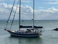 Bayfield 40