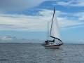 Bayfield 40