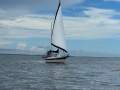 Bayfield 40