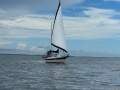 Bayfield 40