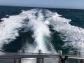 Ocean Yachts 53 Super Sport:Cruising