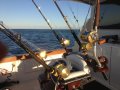 Ocean Yachts 53 Super Sport:Murray Bros Game Chair