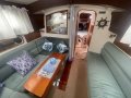 Birdsall 38