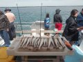 Fishing Charter Business
