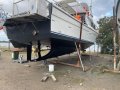 Fishing Charter Business