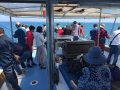 Fishing Charter Business