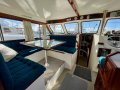 Cuddles 35 Resort Flybridge