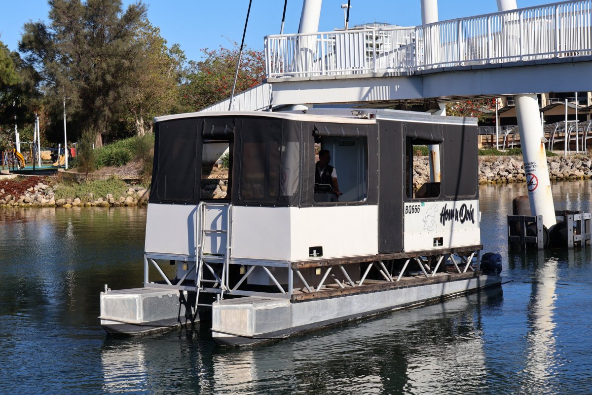 Custom 8m Pontoon - One of A Kind!