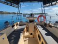 Island Packet 45