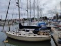 Island Packet 45