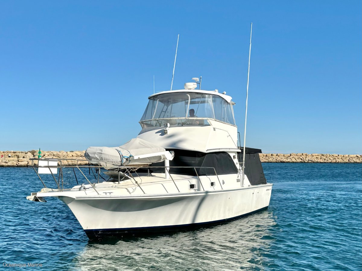Bertram 35 Flybridge