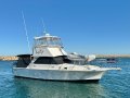 Bertram 35 Flybridge