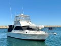 Bertram 35 Flybridge
