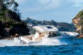 Grady-White Freedom 375