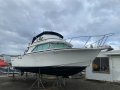 Bertram Caribbean 28 Flybridge "Malabar"