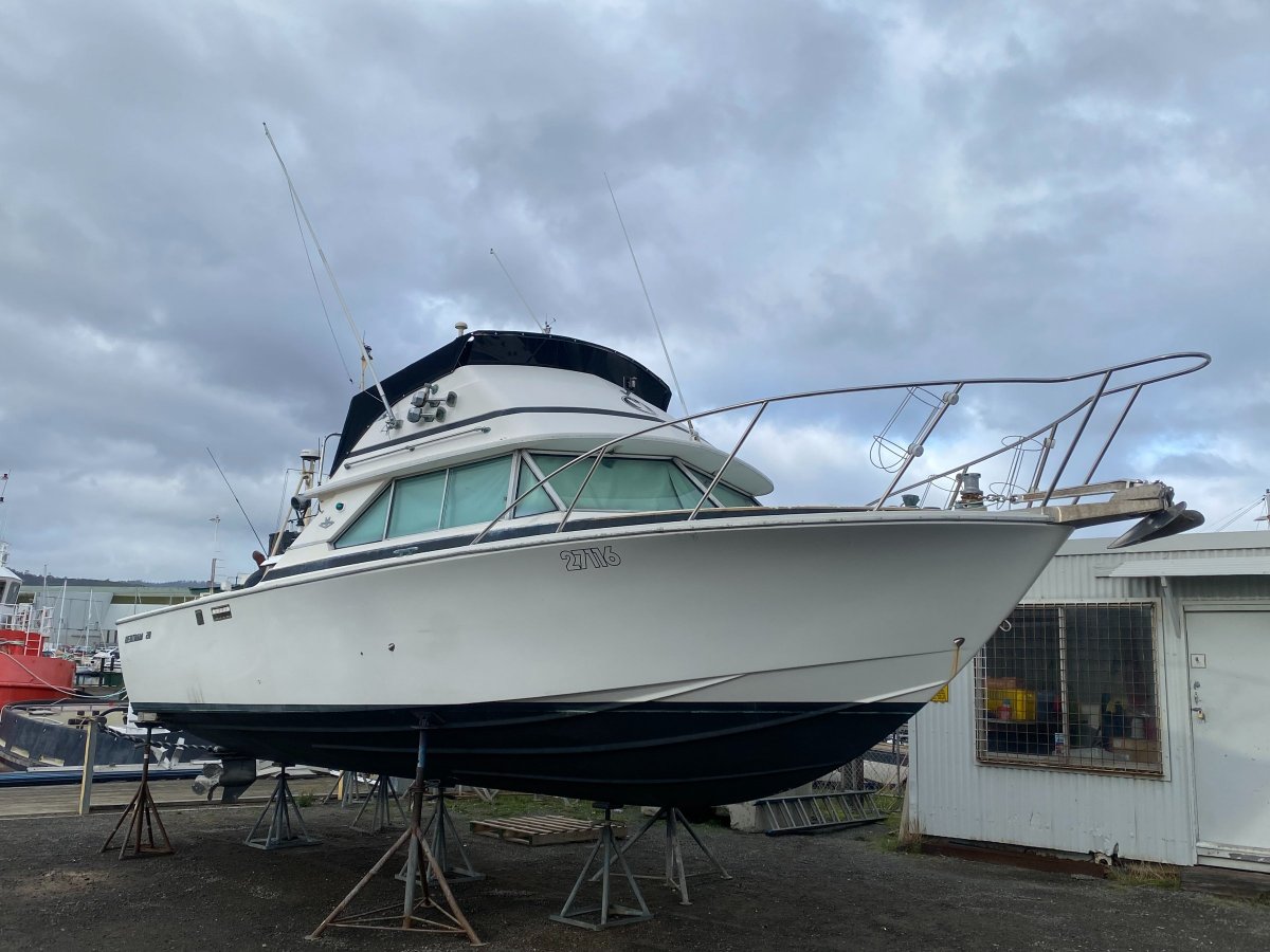 Bertram Caribbean 28 Flybridge Malabar