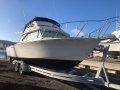 Bertram Caribbean 28 Flybridge "Malabar"
