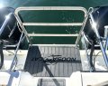Noosa Cat 3500 Sportscruiser 3500 Sportsfisher