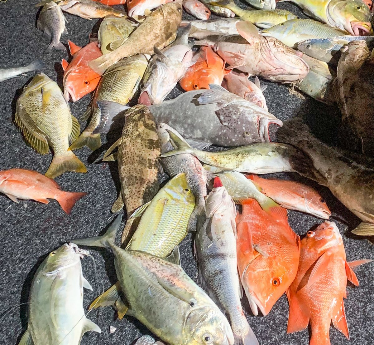 Commercial Fishing Opportunity