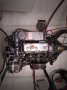 Grainger Chincogan 40