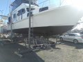 Bruce Harris 45 Flybridge
