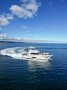 Riviera 43 Flybridge