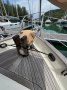 Hans Christian 33 Traditional for sale in Langkawi, Malaysia.:Hans Christian Yacht for sale in Langkawi