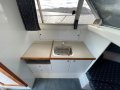 Caribbean 26 Flybridge Cruiser - Antifouled and sevice Dec 24 - Recent survey