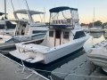 Caribbean 26 Flybridge Cruiser - Antifouled and sevice Dec 24 - Recent survey
