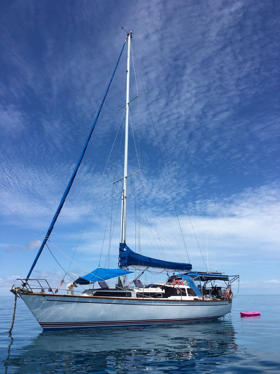 Adams Traditional 36