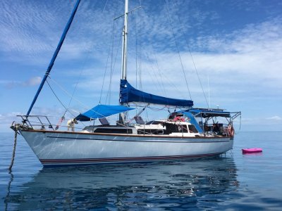 Adams Traditional 36