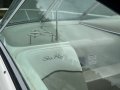 Sea Ray 260 Sundancer Re-powered 2019