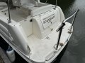 Sea Ray 260 Sundancer Re-powered 2019