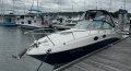 Sea Ray 260 Sundancer Re-powered 2019