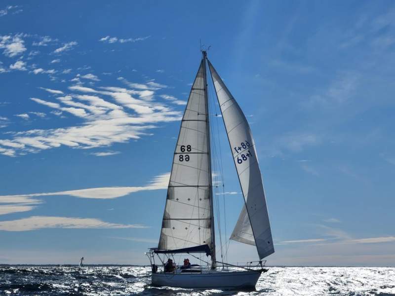 Marchi 39 Sloop