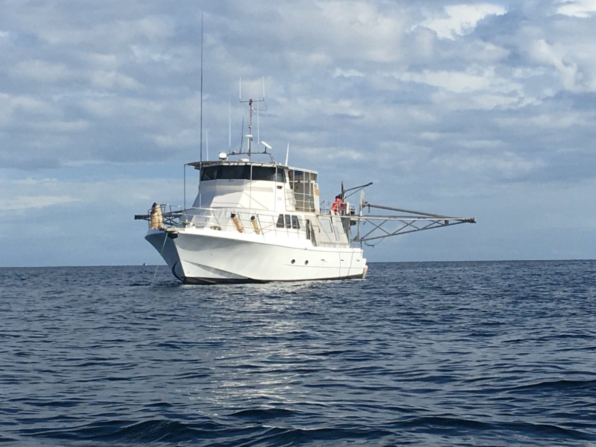 Conquest 64 Charter
