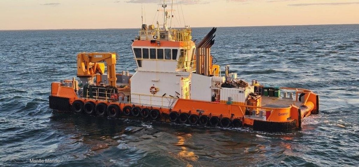 Damen 2611 Multicat
