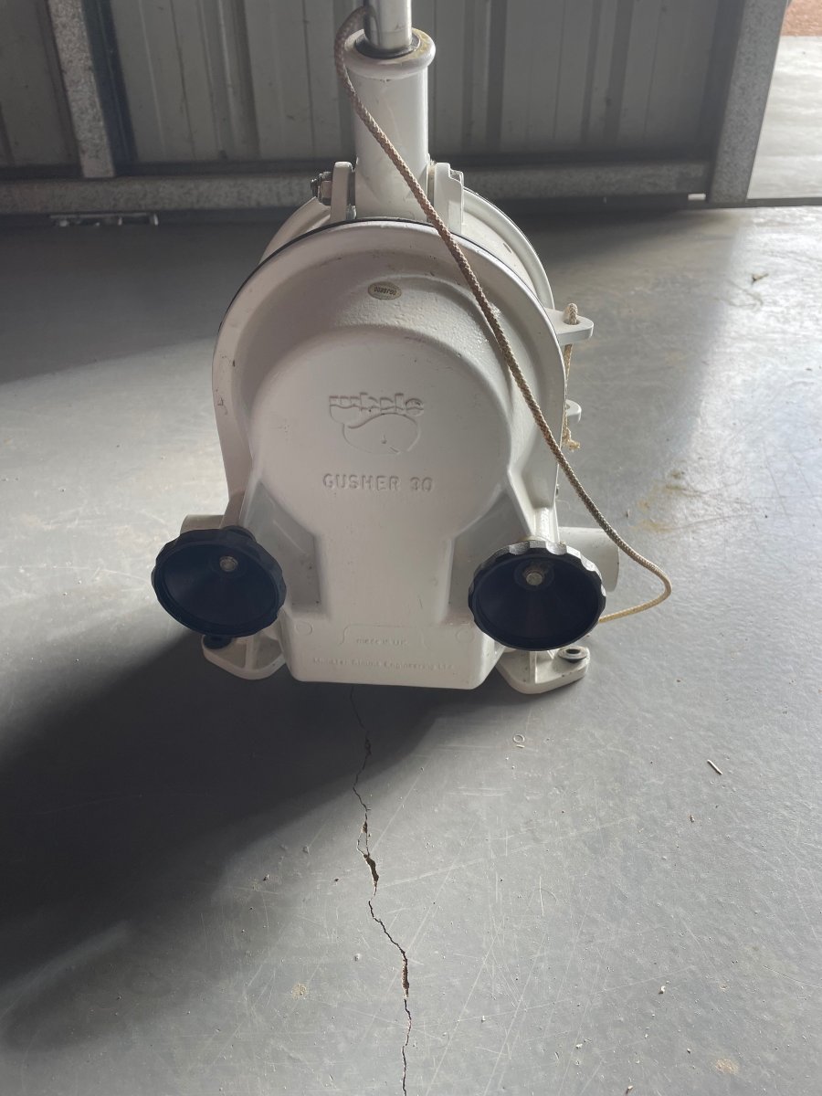 Whale Gusher double diaphragm pump