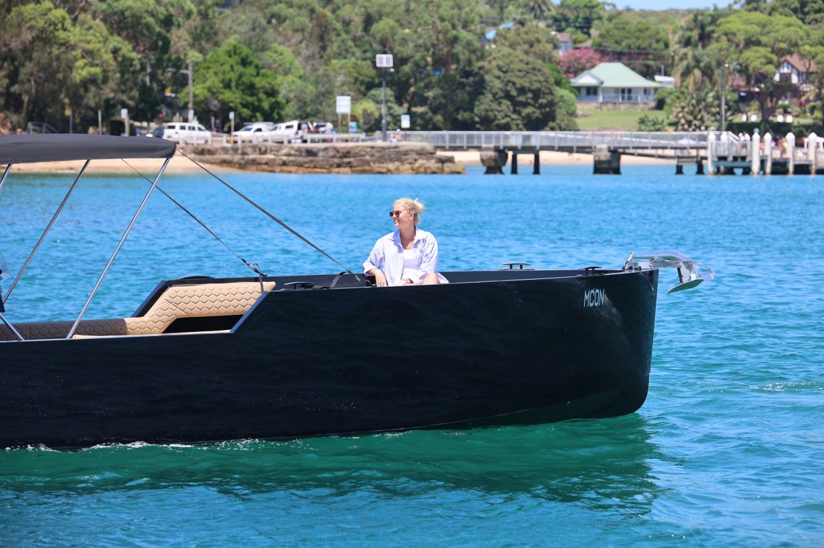 Schaaf 25 Sdc