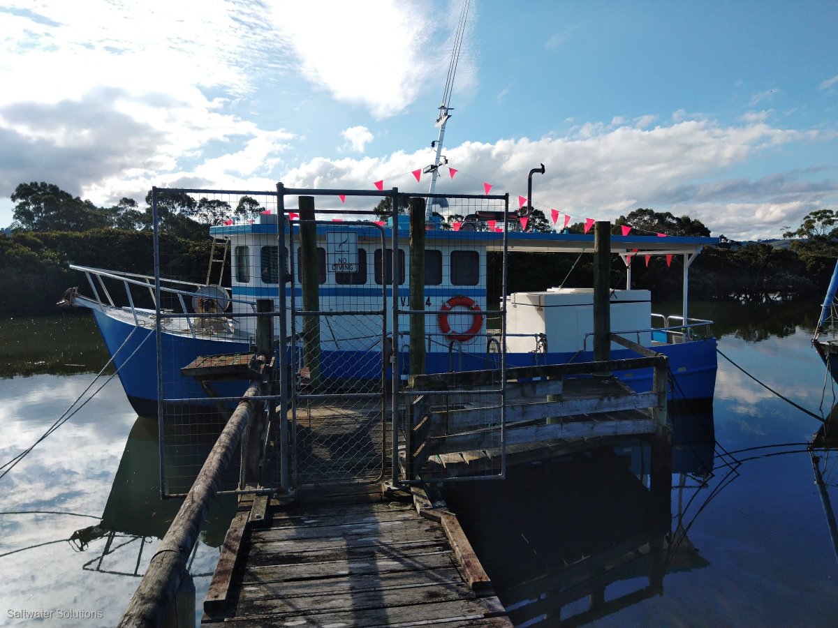 Steel Cruiser