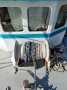 Steel Cruiser