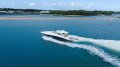 Sea Ray 515 Sundancer
