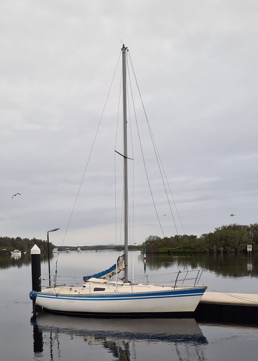 Halvorsen Hood 25