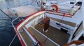 Adams 31 Pilothouse Cruising Yacht Huon Pine 'Rosie':11 Sydney Marine Brokerage Huon Pine Adams Pilot House For Sale