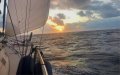 Harmony 38