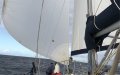 Harmony 38