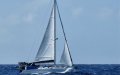 Harmony 38